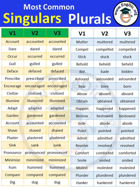 3 Forms Of Verb List