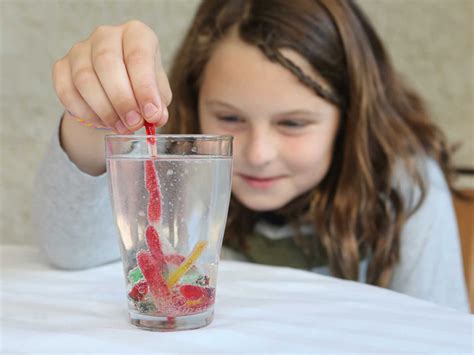 3 Great Gummy Worm Science Experiments Worm Science Experiments - Worm Science Experiments