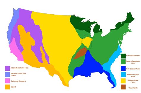3 main biomes in the us. North American Biomes Coloring Activity. ( Google Doc File) Color the map according to the clues listed below. You may need to look at a map of North America. Place a check mark in the box once you have completed that step. 1. The dotted lines represent the border between the U.S. and Mexico and Canada. All other lines show biome borders. 