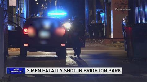 3 men found shot dead in Brighton Park overnight: CPD