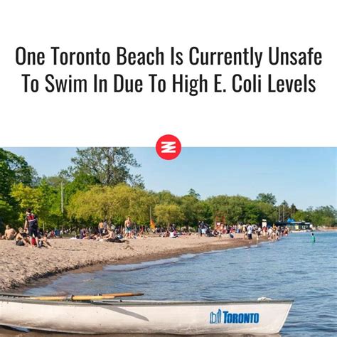 3 of Toronto’s 10 beaches deemed unsafe for swimming due to high E.coli levels