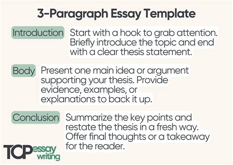 3 Paragraph Essay