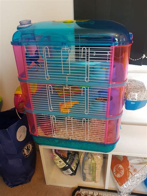 3 story hamster cage (lazy bones) in WV14 Dudley for £25.00 for …