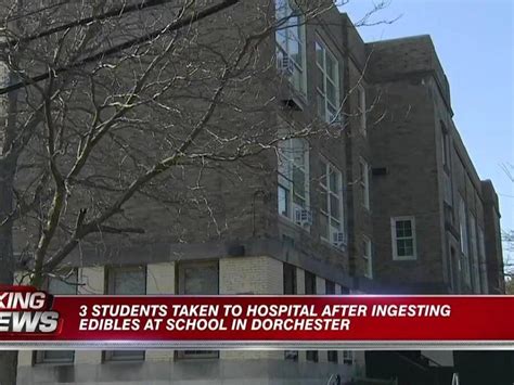 3 students taken to hospital after ingesting edibles at school in Dorchester