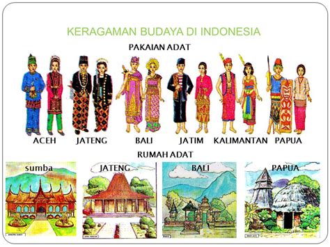 3 suku bangsa di indonesia