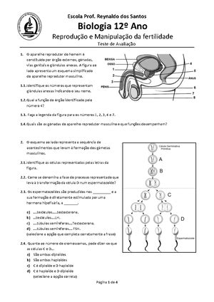3 Teste De Biologia 12 A