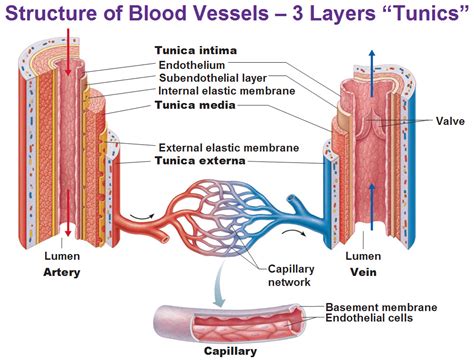 3 Thick Vessels
