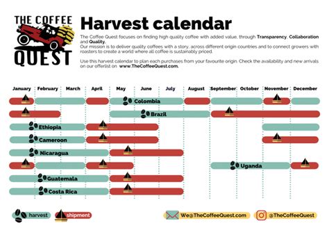 3 tips to build your coffee assortment The Coffee Quest