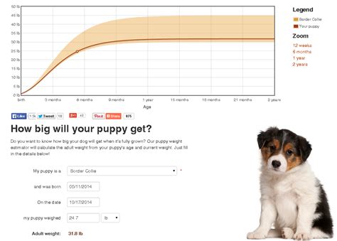 3 ways to predict how big your puppy will get