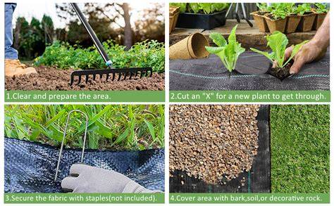 3. Add a Weed Barrier | Lawn to Garden - raincitystudios.com