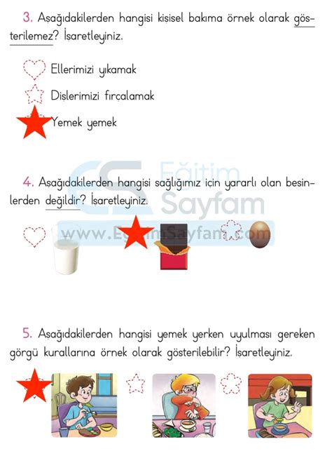 3. Sınıf Hayat Bilgisi Testleri – Eğitim Sayfam. 