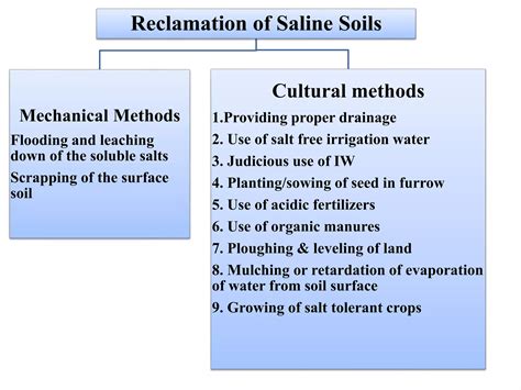 3. SALINE SOILS AND THEIR MANAGEMENT - Food … - raincitystudios.com