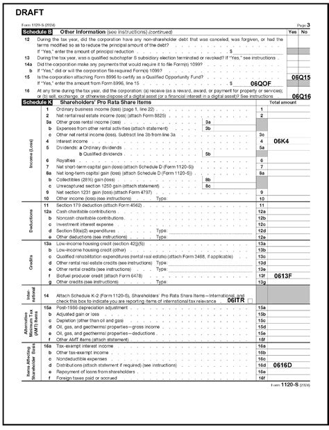 3.12.217 Error Resolution Instructions for Form 1120S Internal
