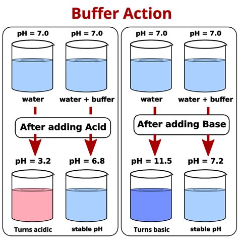3.2: Buffer Solutions - Chemistry LibreTexts - wintechmobiles.com