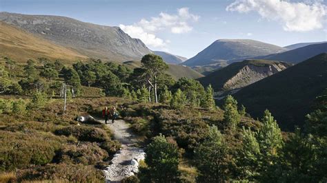 3.5 Days in Cairngorms and / or Surrounding Areas