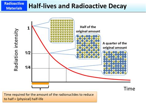 3.8: Radioactive Decay- Units and Half-Life - wintechmobiles.com
