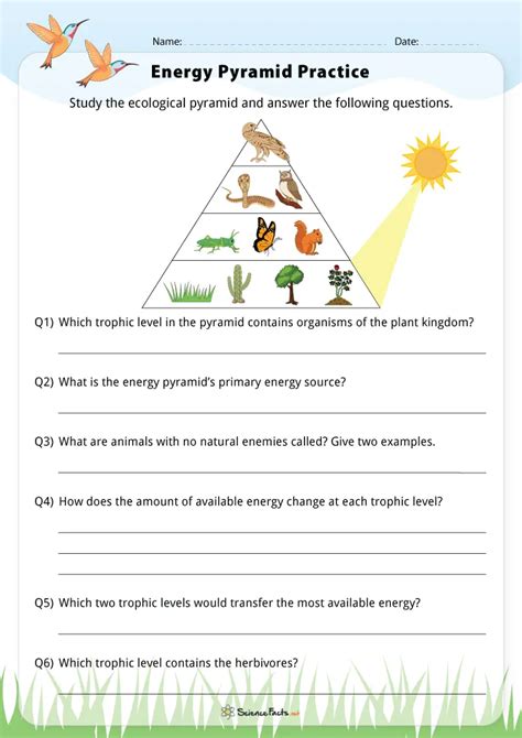 30++ Energy Pyramid Worksheet Answer Key Worksheets Decoomo