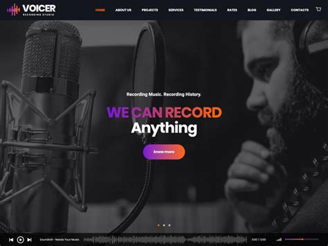 30+ Best Music WordPress Themes 2024 - aThemes