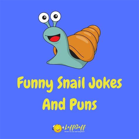 30+ Hilarious Snail Jokes And Puns! LaffGaff