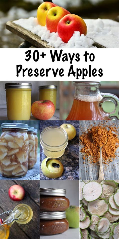 30+ Ways to Preserve Apples - Practical Self Reliance - muktibox.com