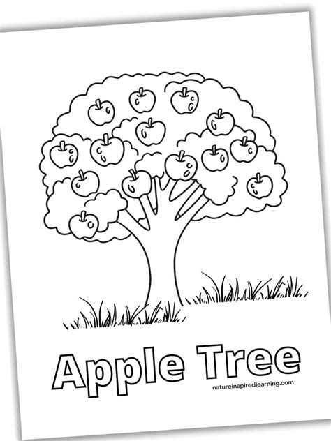 30 Apple Tree Coloring Pages Ideas Tree Coloring Page Coloring Pages Apple Tree