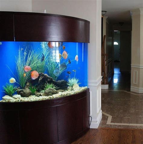 30 Fish Tank for sale eBay