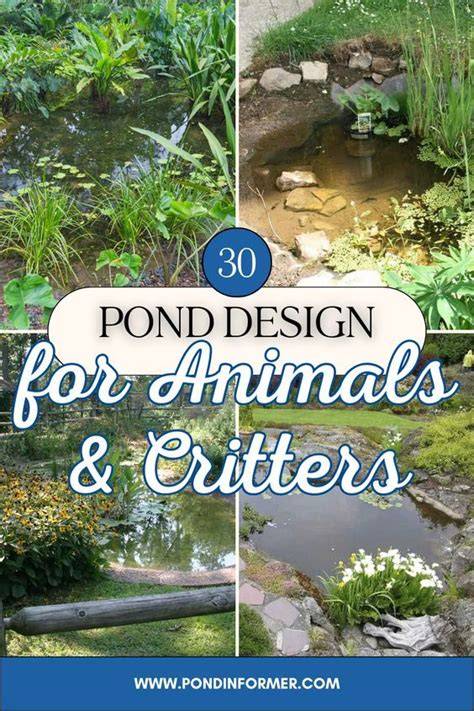 30 Wildlife Pond Design Ideas for Animals - raincitystudios.com