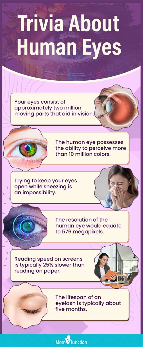 30 Amazing Facts About Human Eyes For Kids Eye Diagram For Kids - Eye Diagram For Kids