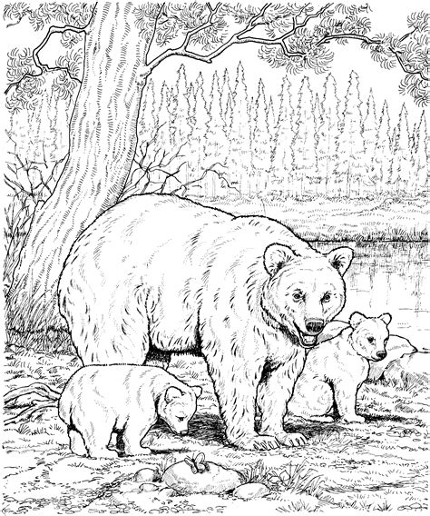 30 Bear Coloring Pages 2024 Free Printable Sheets Grizzly Bear Coloring Page - Grizzly Bear Coloring Page