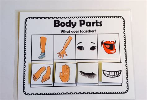 30 Body Parts Activities For Preschoolers Fun And Preschool Body Parts Flashcards Printable - Preschool Body Parts Flashcards Printable