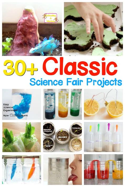 30 Classic Science Fair Projects For Elementary School Elementary Science Activities - Elementary Science Activities