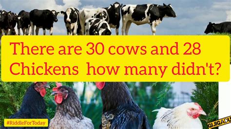 30 cows 28 chickens how many didn. Things To Know About 30 cows 28 chickens how many didn. 