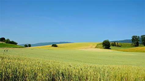 30 day forecast wheatland wy.  Note.  CustomWeather is a full-service provi...