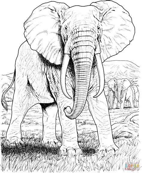30 Elephant Coloring Pages Free Pdf Printables Monday Elephant Picture To Color - Elephant Picture To Color
