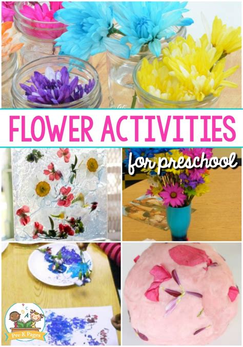 30 Flower Activities For Preschool Pre K Pages Preschool Flower Theme Worksheets - Preschool Flower Theme Worksheets