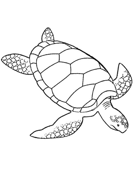 30 Free Printable Turtle Coloring Pages Artsydee Painted Turtle Coloring Page - Painted Turtle Coloring Page