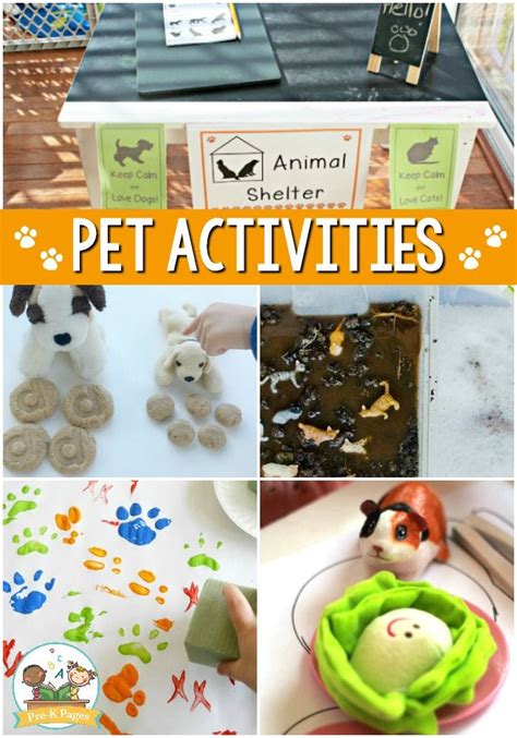 30 Fun Pet Activities For Preschoolers Teaching Littles Pets Kindergarten - Pets Kindergarten