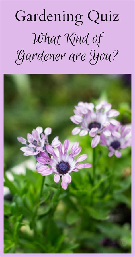 30 Plants And Gardening Pub Quiz Questions To Plant Questions And Answers - Plant Questions And Answers