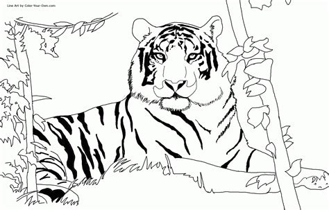 30 Tiger Coloring Pages 2024 Free Printable Sheets Baby Tigers Coloring Pages - Baby Tigers Coloring Pages