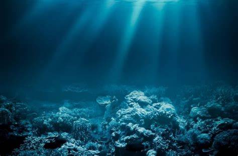 30.000+ Gambar Dasar Laut & Laut Gratis - Pixabay - raincitystudios.com