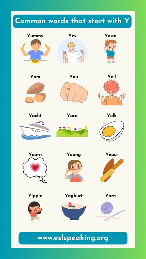 300+ Words That Start with Y Words Starting with Y