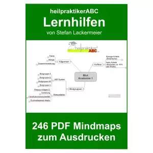 300-410 Lernhilfe.pdf