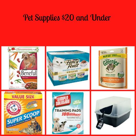 31 Pet Products From Target You