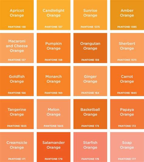 31 Macam Macam Warna Orange Yang Wajib Kamu Macam Macam Warna - Macam-macam Warna