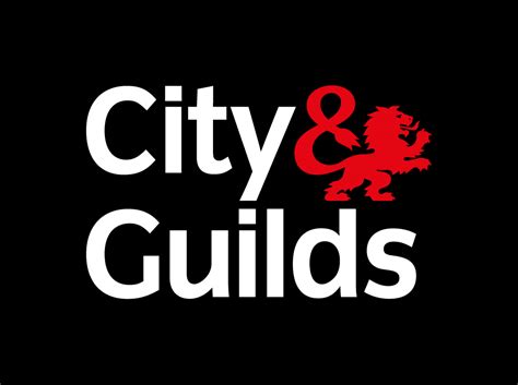 Read 317 City And Guilds 
