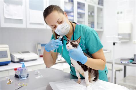 32 Veterinary Practices in Cleveland - Find A Vet