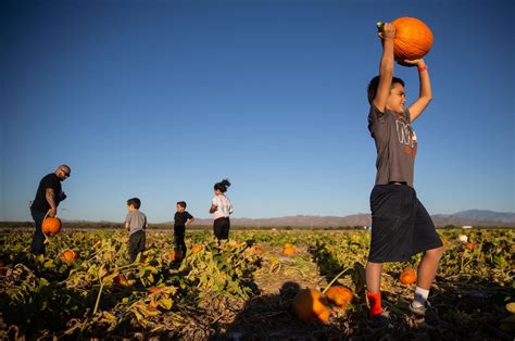 32 fun Halloween events in Tucson for KIDS 🎃 to do tucson.com