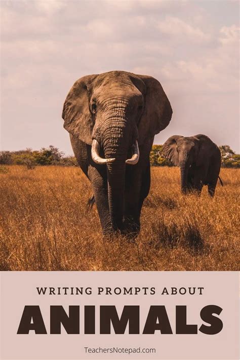 32 Writing Prompts About Animals Teacher X27 S Animal Writing - Animal Writing