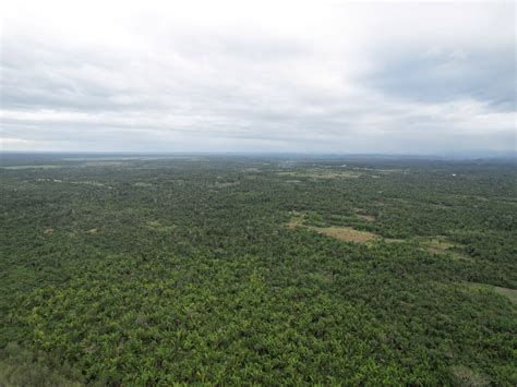 3233 Halı ve Koltuk Yıkama