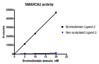 32610 SMARCA2 Inhibitor Screening Assay Kit 150415 - BPS …